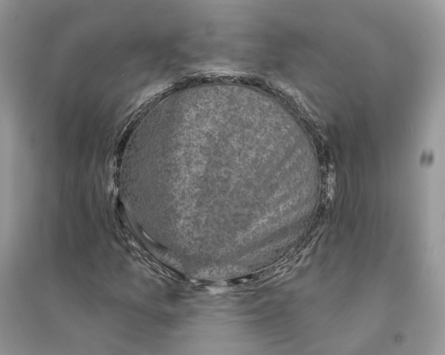 X0000094461157200711291715