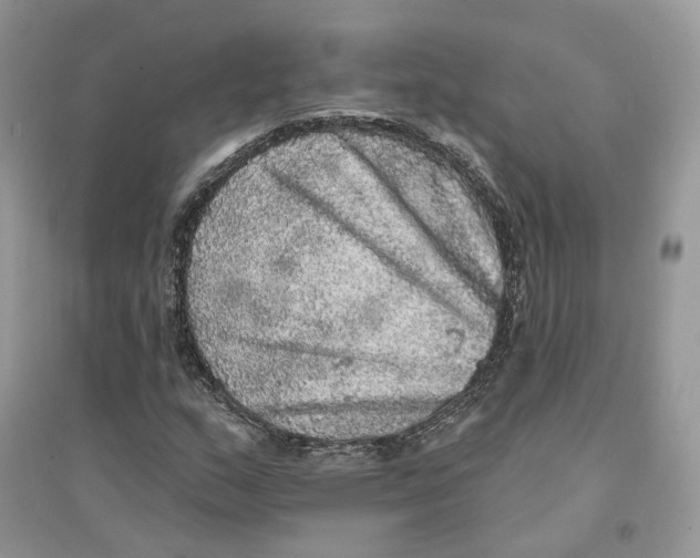 X0000094461159200711291715