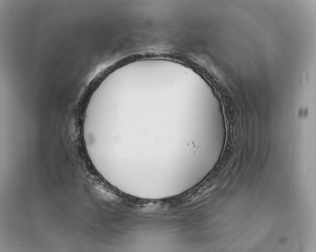 X0000094461160200711291715