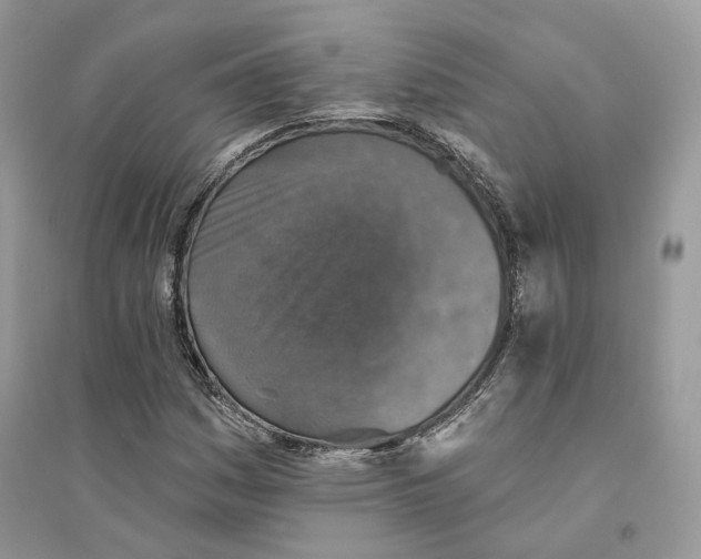 X0000094461161200711291715