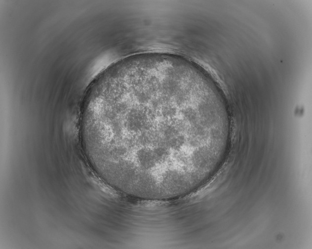 X0000094461163200711291715