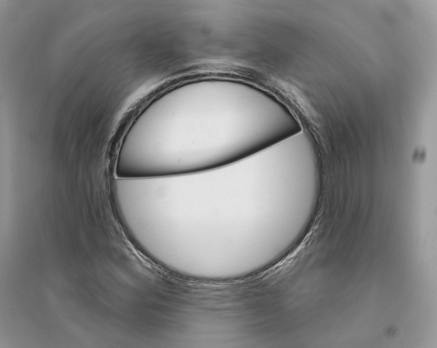 X0000094461164200711291715