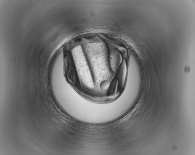 X0000094461165200711291715