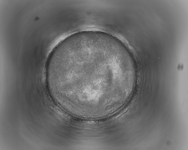 X0000094461167200711291715