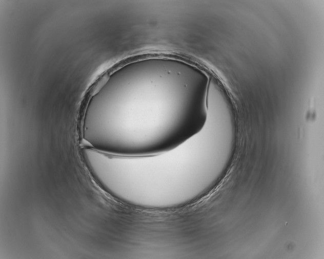 X0000094461168200711291715