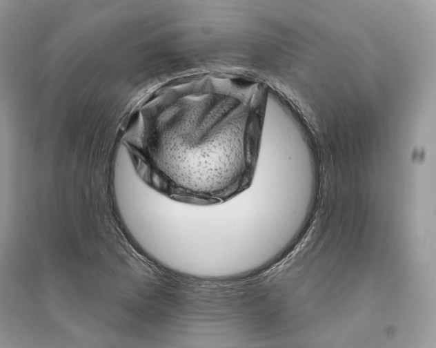 X0000094461169200711291715