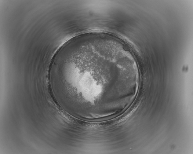 X0000094461170200711291715