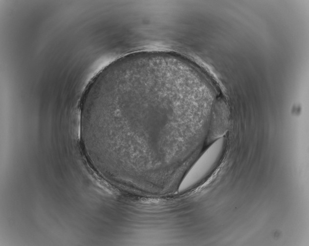 X0000094461171200711291715