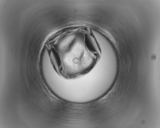 X0000094461172200711291715