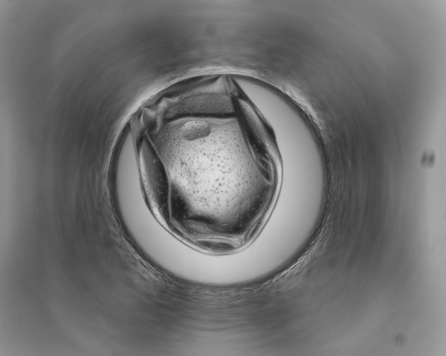 X0000094461173200711291715