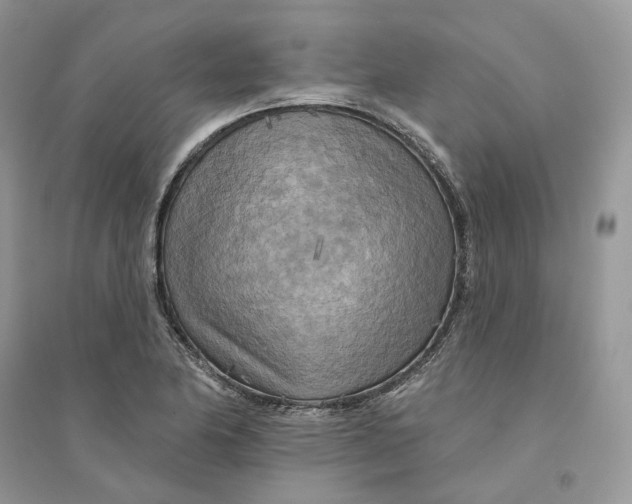 X0000094461174200711291715