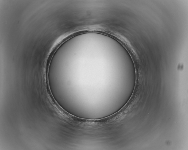 X0000094461176200711291715