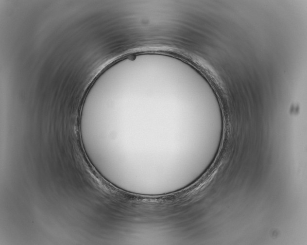 X0000094461177200711291715