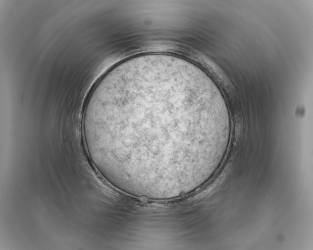 X0000094461178200711291715