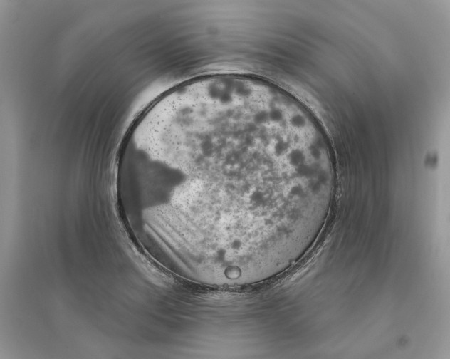 X0000094461179200711291715