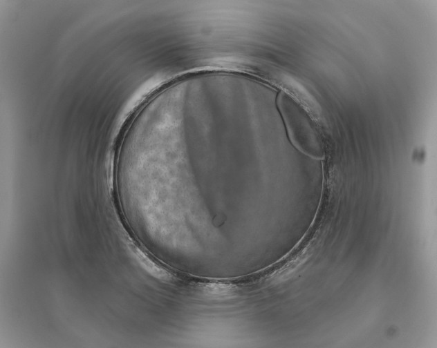 X0000094461180200711291715