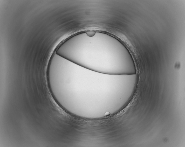 X0000094461181200711291715