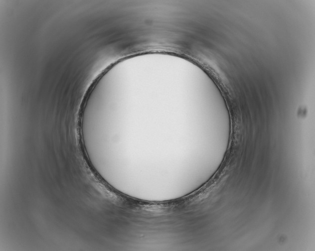 X0000094461182200711291715