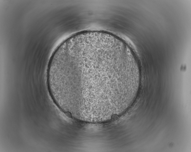 X0000094461183200711291715