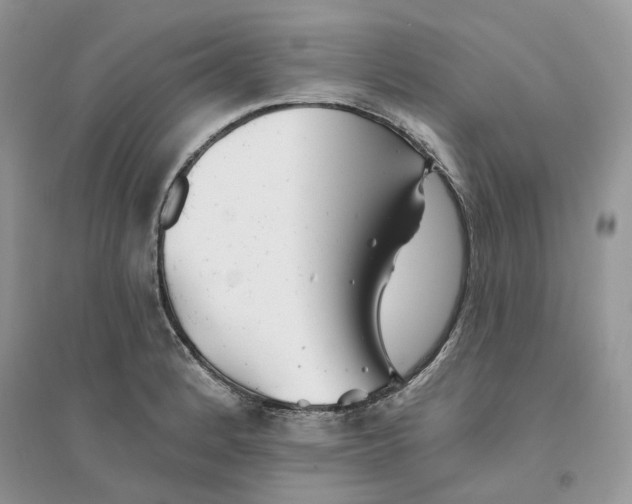 X0000094461184200711291715