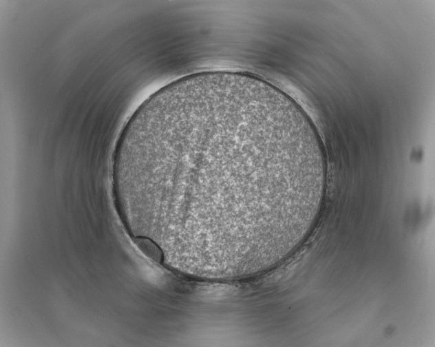 X0000094461187200711291715