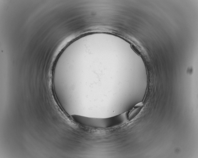 X0000094461188200711291715