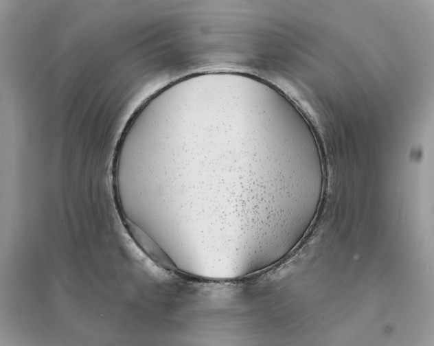 X0000094461189200711291715