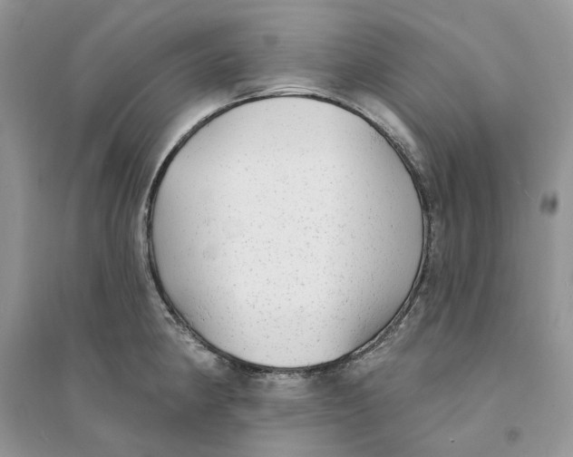 X0000094461190200711291715