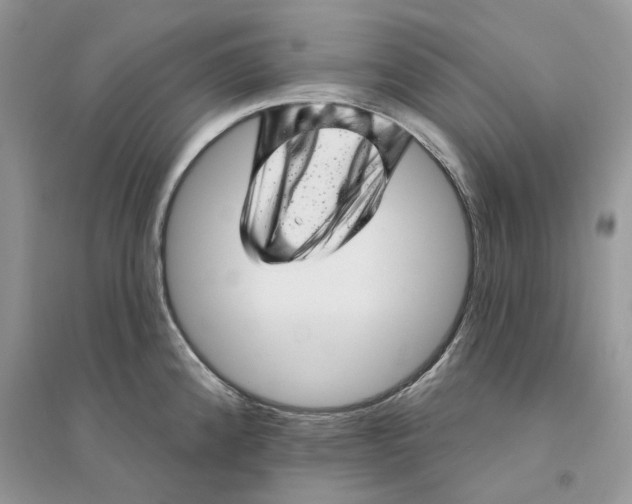 X0000094461192200711291715