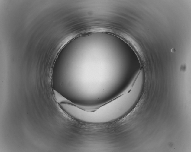 X0000094461193200711291715