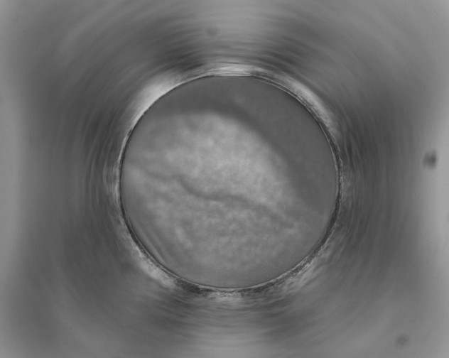 X0000094461194200711291715