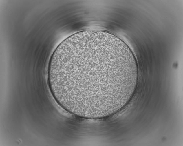 X0000094461195200711291715