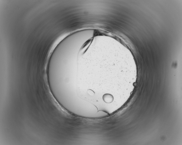 X0000094461196200711291715