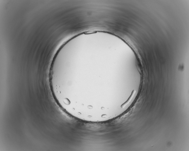 X0000094461197200711291715