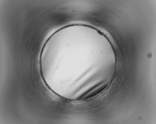 X0000094461199200711291715