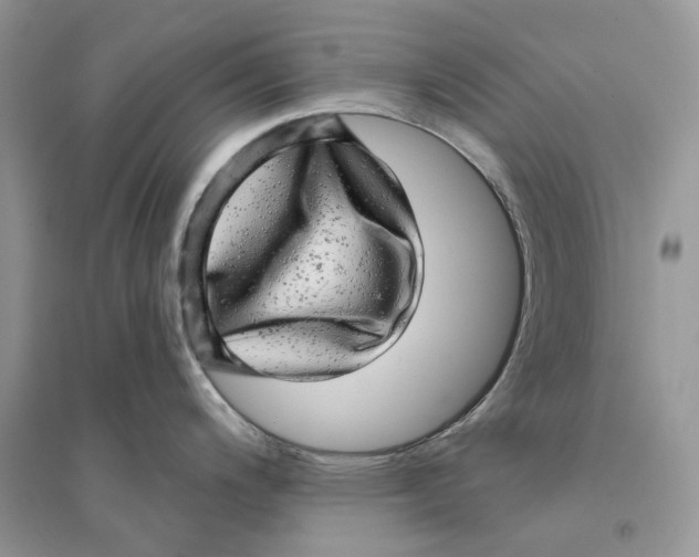 X0000094461200200711291715