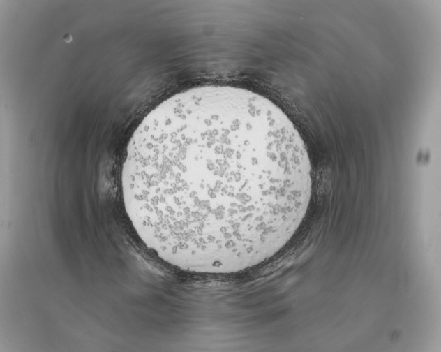 X0000094461202200711291714