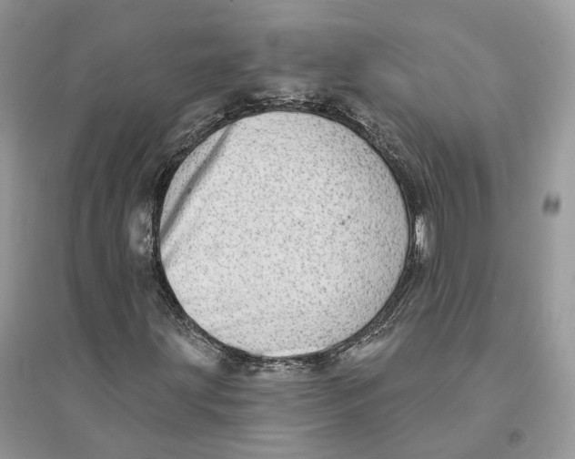 X0000094461203200711291714