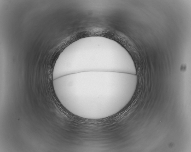 X0000094461204200711291714