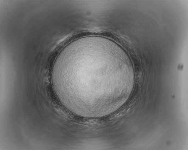 X0000094461205200711291714