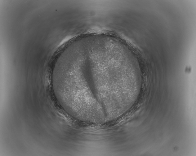 X0000094461206200711291714