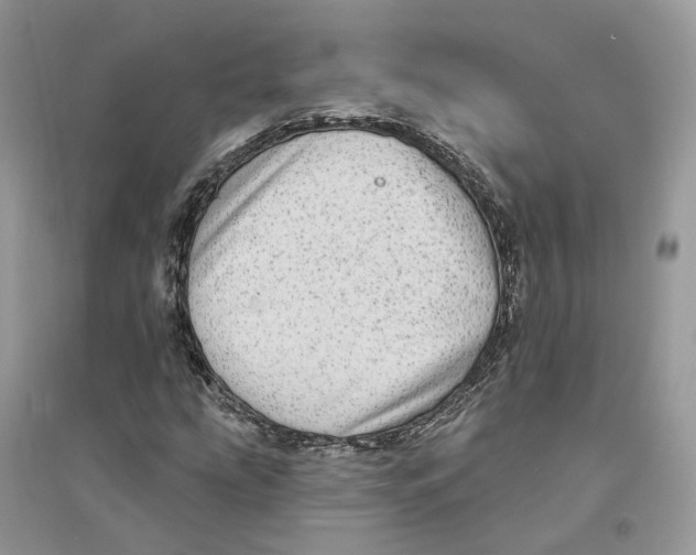 X0000094461207200711291714