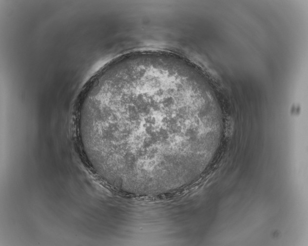 X0000094461208200711291714