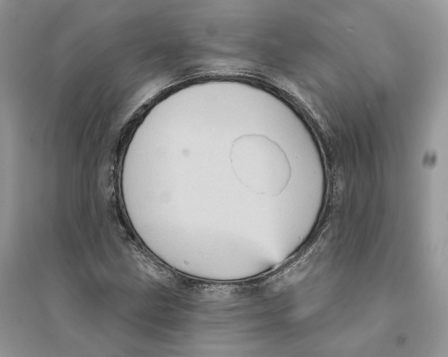 X0000094461211200711291714