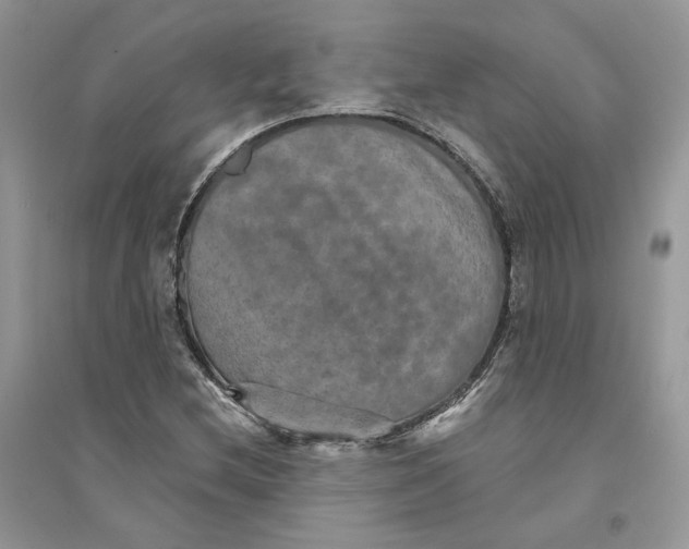 X0000094461212200711291714