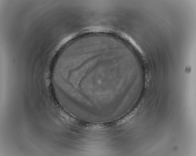 X0000094461213200711291714