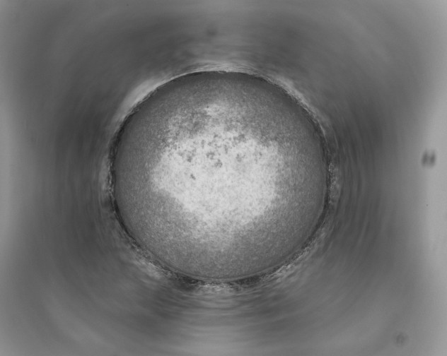 X0000094461215200711291714