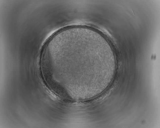 X0000094461216200711291714