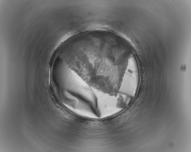 X0000094461219200711291714