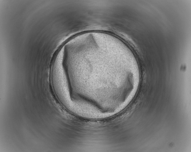 X0000094461220200711291714